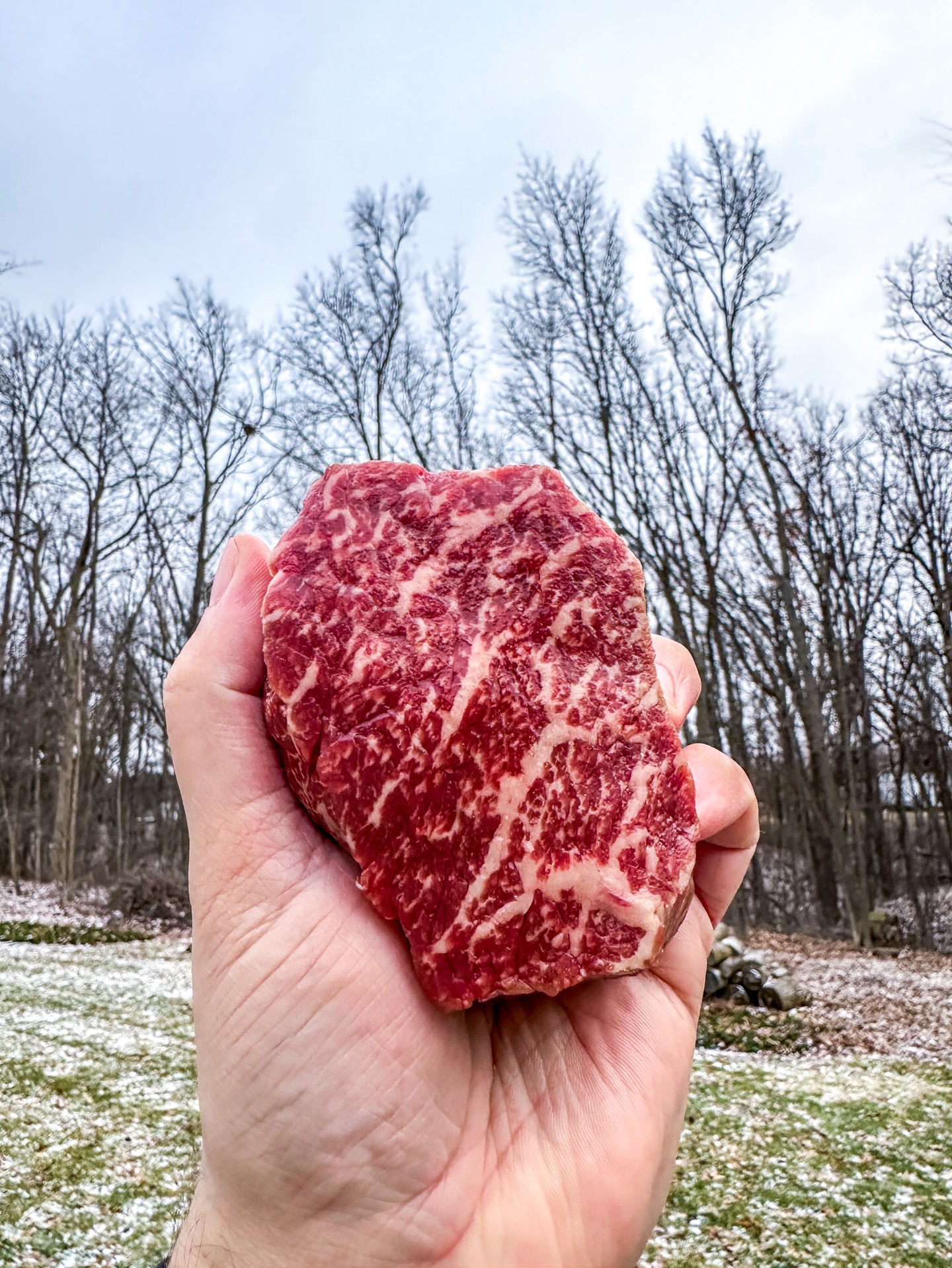 #MarbledMonday done right.

This Snake River Farms American Wagyu ribeye filet is the perfect way to kick off the week. Insane marbling, buttery texture, and grilled just the way it should be. If this is how Monday starts, it’s going to be a good week. Let’s go!

#TeamSRF #thesrfexperience #wagyu #steak
